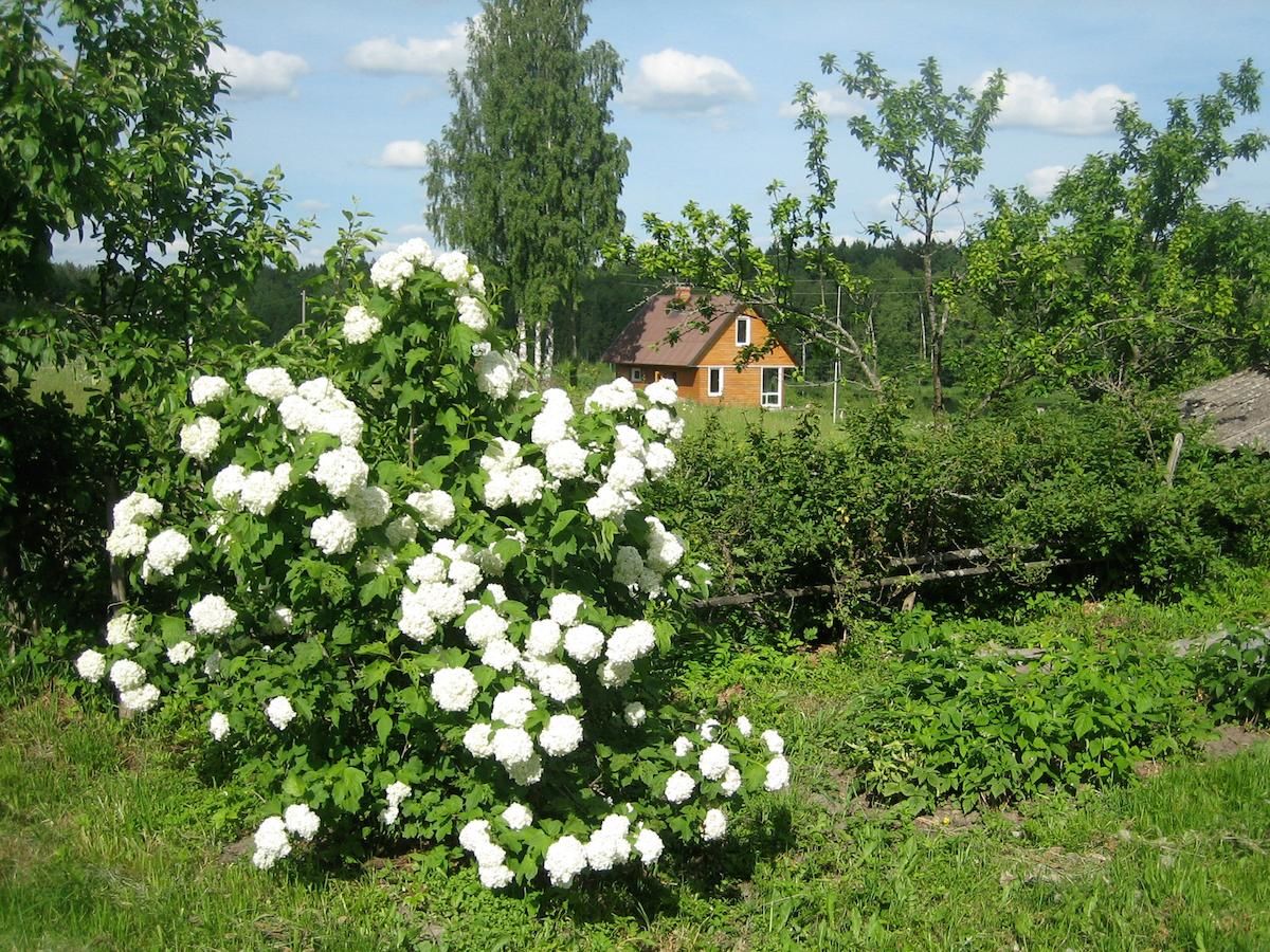 Дома для отпуска Meza Skuki Vabole-10